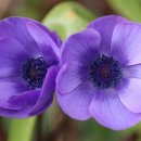 물에서산으로 이미지