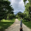 루씨 필라테스 이미지