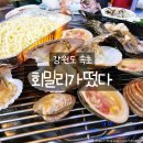 회밀리가떴다 | 속초 여행 맛집 추천, 회밀리가떴다에서 즐긴 조개구이·해물라면