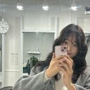 바이설 이미지