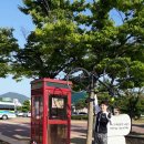 행복투어 - 양천구 | 행복투어