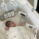 출산템 신생아 초점책 추천 라운드그라운드 모닝 앤 이브닝 내돈내산 후기 ♥