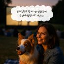 순천 애니멀 필름 페스타 | 반려동물과 함께하는 영화축제 순천애니멀필름페스타2025