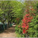 동암약수터 이미지