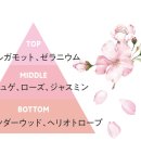 데이즈인블룸