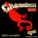 카멜레온 - 정선군 송계3길 13 | 카멜레온