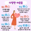 手놀자