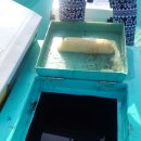 백운포로 이미지