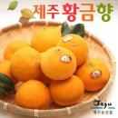 청정제주농산 이미지
