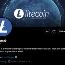 도지코인 Dogecoin (DOGE)대 라이트코인 Litecoin (LTC) – 차이점은 무엇입니까? 이미지