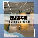 경주 아이랑 힐튼경주 안녕경주야 키즈카페 자세한 소개