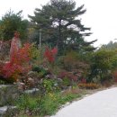 개울건너 이미지