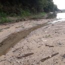 새물낚시터 이미지