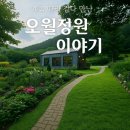 선오월 | 춘천 오월정원 방문 후기｜계곡과 감성, 라면과 정원이 있는 힐링카페