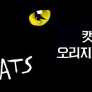 (공연) 캣츠 오리지널 내한공연1 이미지