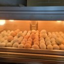 사무엘농장 이미지