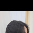 오브르헤어 이미지