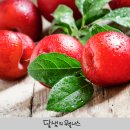93푸드 이미지