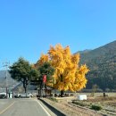 신당마을회관 이미지