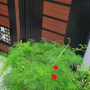 말바우 농장 이미지