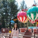 고미노시스템 이미지