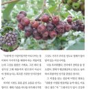 형제농장 이미지