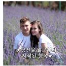 당신을 알고부터 시작된 행복 ​/ 송정림 이미지