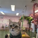 해피주 수원점 이미지