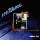 비의 BLUES 신촌블루스(보컬: 강성희) 이미지