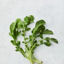 풍년꽃게 이미지