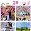 4월 국내 여행지 추천 베스트 9곳 이미지