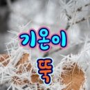연신유도체육관 네이버블로그