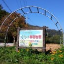 강천산휴양농원 이미지
