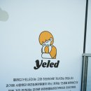 서울마곡유치원 | 마곡 강아지유치원 무료체험 다녀온 후기｜옐레드 마곡점 입학설명회까지