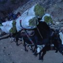 야크당구장 이미지