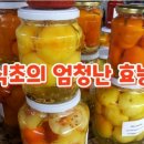 ○ 식초로 고치는 지병 18가지 및 활용법 ○ 이미지