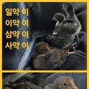 휴성펜션 네이버블로그