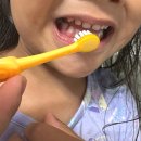 에이카랩스 코뿔소 칫솔 내돈내산 후기 | 치과의사가 만든 유아 칫솔 솔직 리뷰
