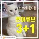 와다다펫푸드 이미지