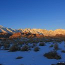 파인포유 이미지