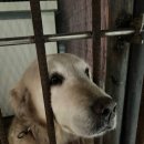 찬기농장 이미지