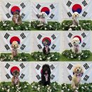 놀러오개 불로점 이미지