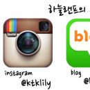 크림치즈갈매 이미지