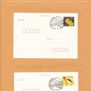 울진금강송우체국 이미지