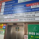 뷰티로운라라