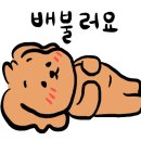 햇솔오토캠핑장 이미지