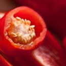 발효명가서초한의원 이미지