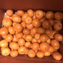 효우농장 이미지