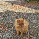 복주경매장 이미지