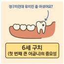 동탄주치과의원 이미지